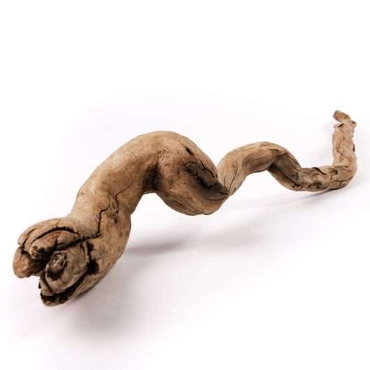 dekorativni komad drveta