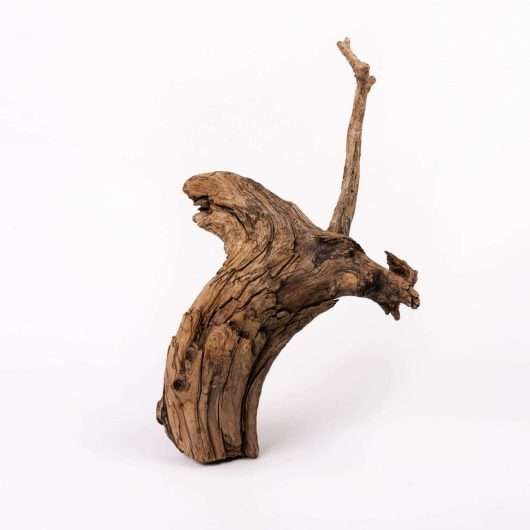 dekorativni komad drveta